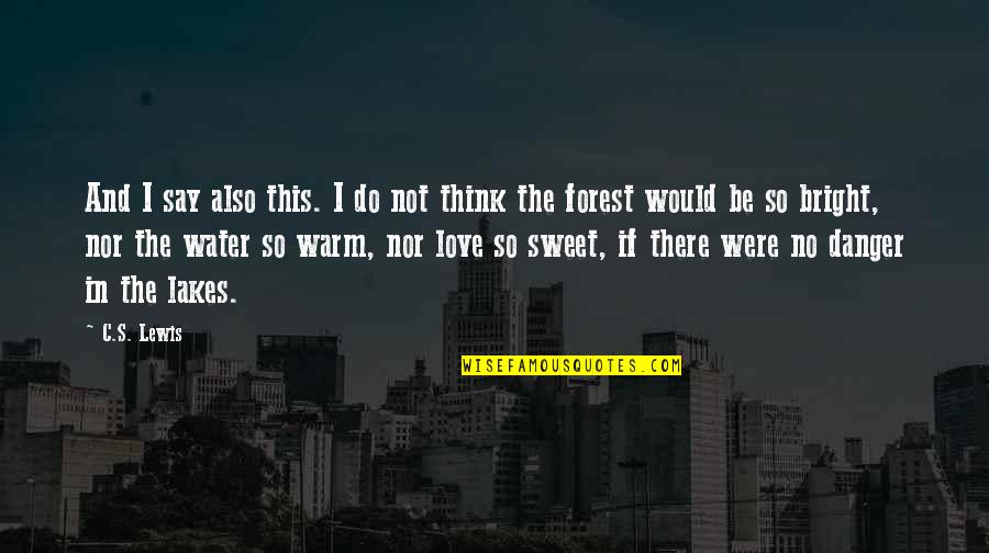 I'll Be There Love Quotes By C.S. Lewis: And I say also this. I do not