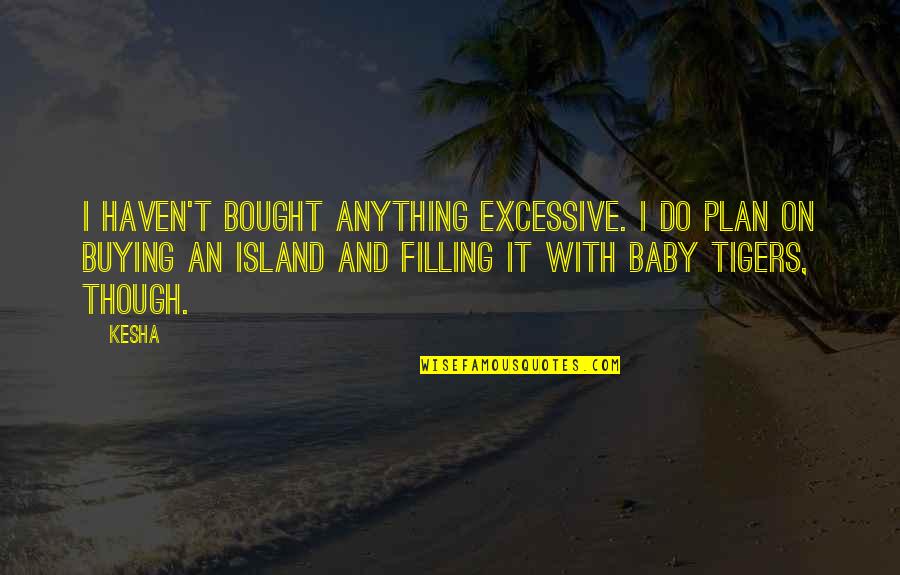 I'll Do Anything For My Baby Quotes By Kesha: I haven't bought anything excessive. I do plan