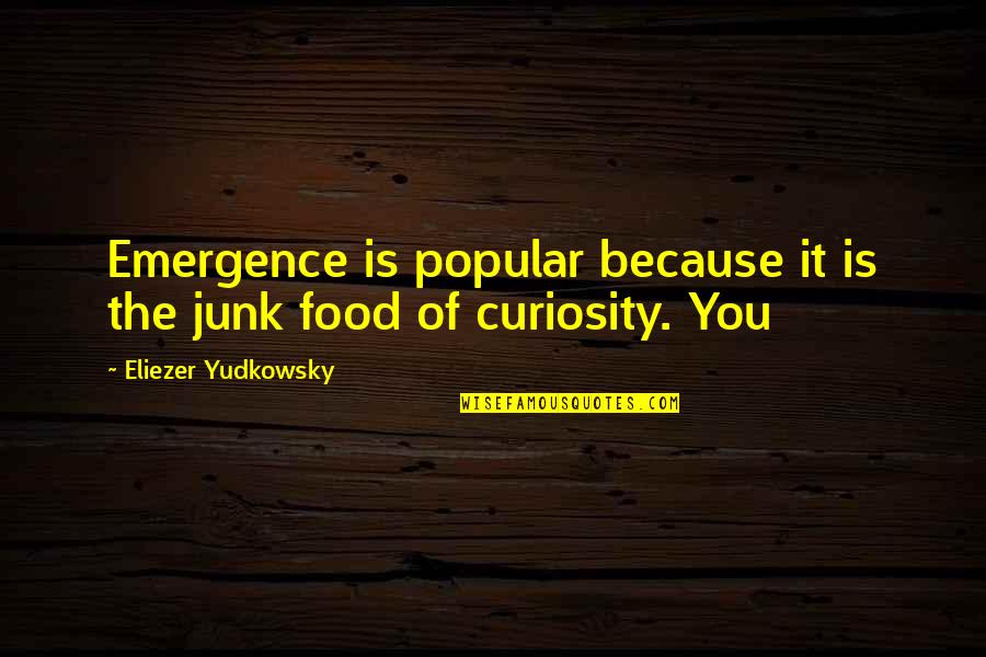 I'll Do Anything For My Son Quotes By Eliezer Yudkowsky: Emergence is popular because it is the junk