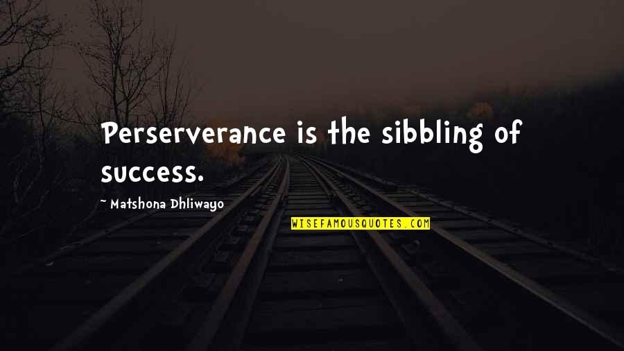 I'll Do Anything For My Son Quotes By Matshona Dhliwayo: Perserverance is the sibbling of success.