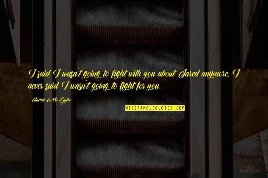 I'll Fight For You Quotes By Jamie McGuire: I said I wasn't going to fight with