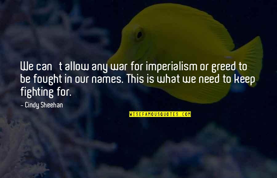 I'll Keep Fighting For You Quotes By Cindy Sheehan: We can't allow any war for imperialism or