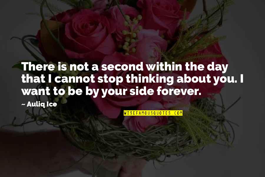 I'll Love You Forever And A Day Quotes By Auliq Ice: There is not a second within the day