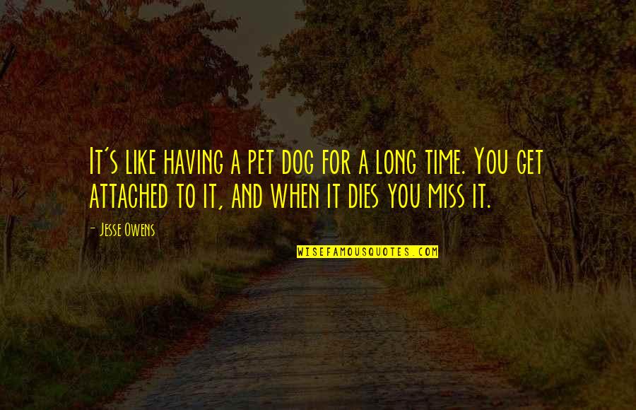 I'll Miss My Dog Quotes By Jesse Owens: It's like having a pet dog for a