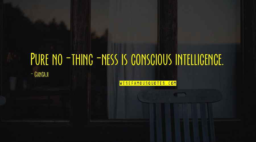 Ill Miss U Quotes By Gangaji: Pure no-thing-ness is conscious intelligence.