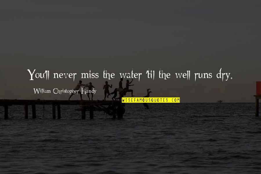 I'll Never Be Okay Quotes By William Christopher Handy: You'll never miss the water 'til the well