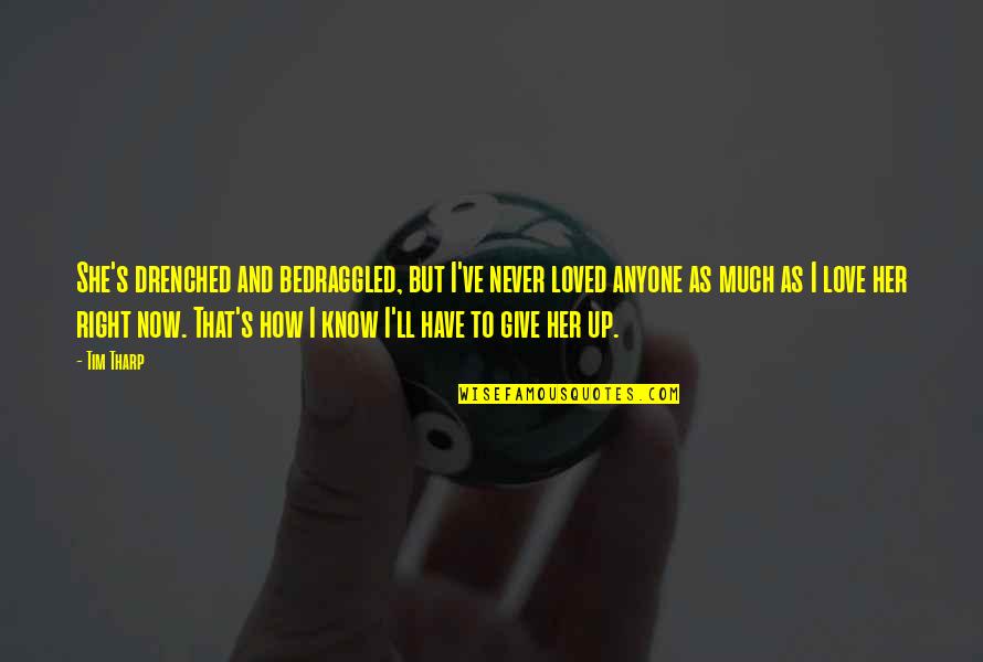 I'll Never Give Up On Love Quotes By Tim Tharp: She's drenched and bedraggled, but I've never loved