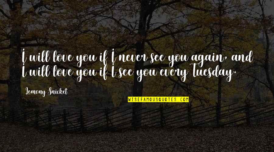 I'll Never See You Again Quotes By Lemony Snicket: I will love you if I never see