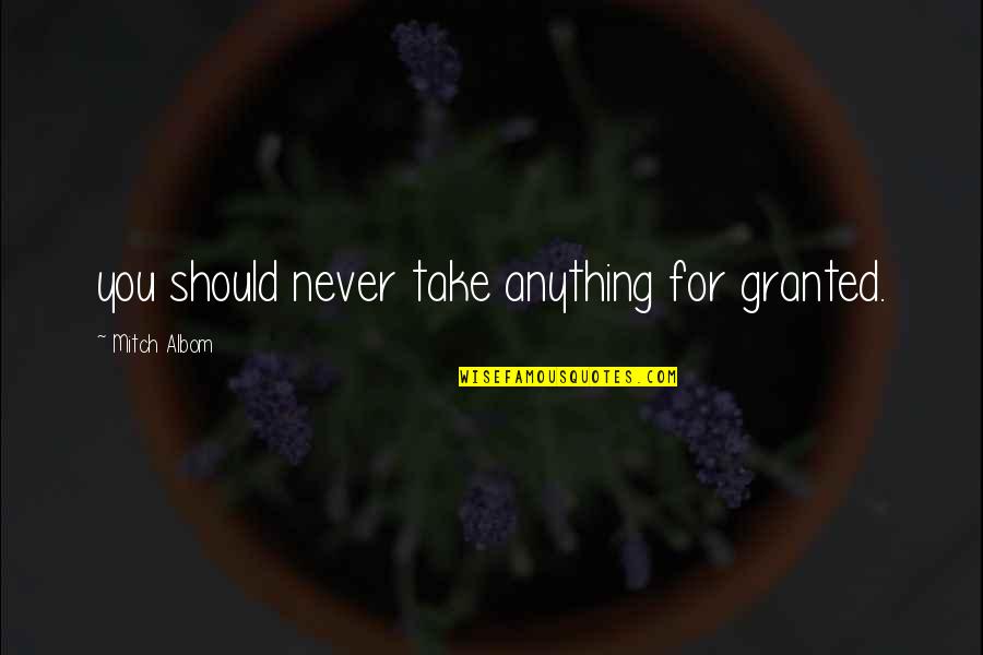 I'll Never Take You For Granted Quotes By Mitch Albom: you should never take anything for granted. I'll Never Take You For Granted Quotes By Mitch Albom: you should never take anything for granted.