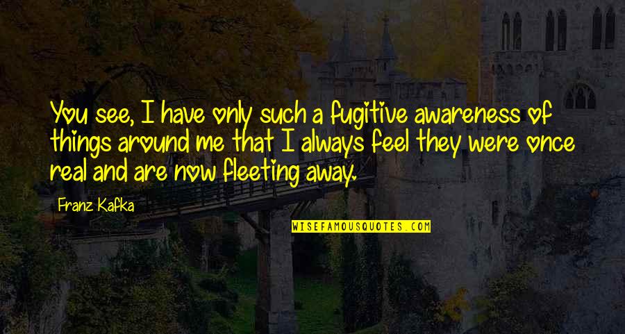 I'll See You Around Quotes By Franz Kafka: You see, I have only such a fugitive