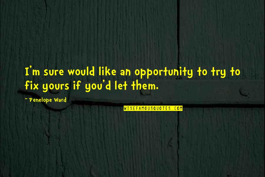 I'll Try To Fix You Quotes By Penelope Ward: I'm sure would like an opportunity to try