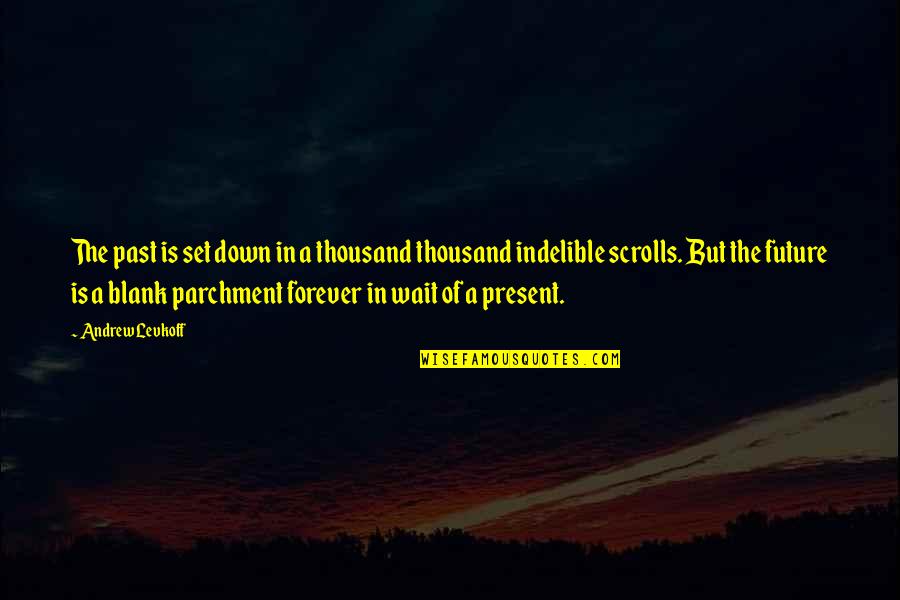 I'll Wait For You But Not Forever Quotes By Andrew Levkoff: The past is set down in a thousand