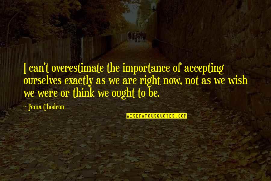 Illangelo Quotes By Pema Chodron: I can't overestimate the importance of accepting ourselves