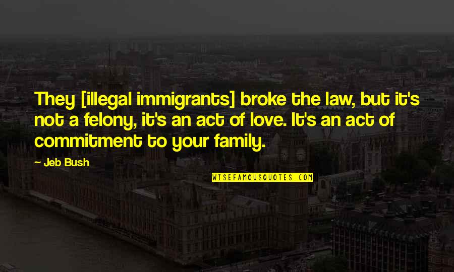 Illegal Immigrants Quotes By Jeb Bush: They [illegal immigrants] broke the law, but it's