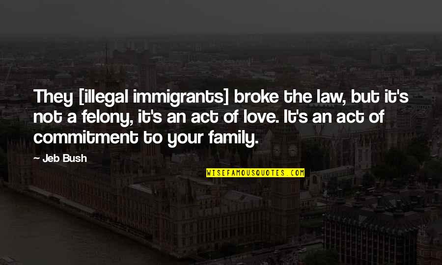 Illegal Love Quotes By Jeb Bush: They [illegal immigrants] broke the law, but it's