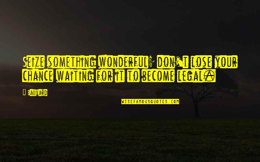 Illegality Quotes By Bauvard: Seize something wonderful; don't lose your chance waiting