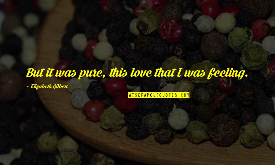 Illegitimate Child Quotes By Elizabeth Gilbert: But it was pure, this love that I