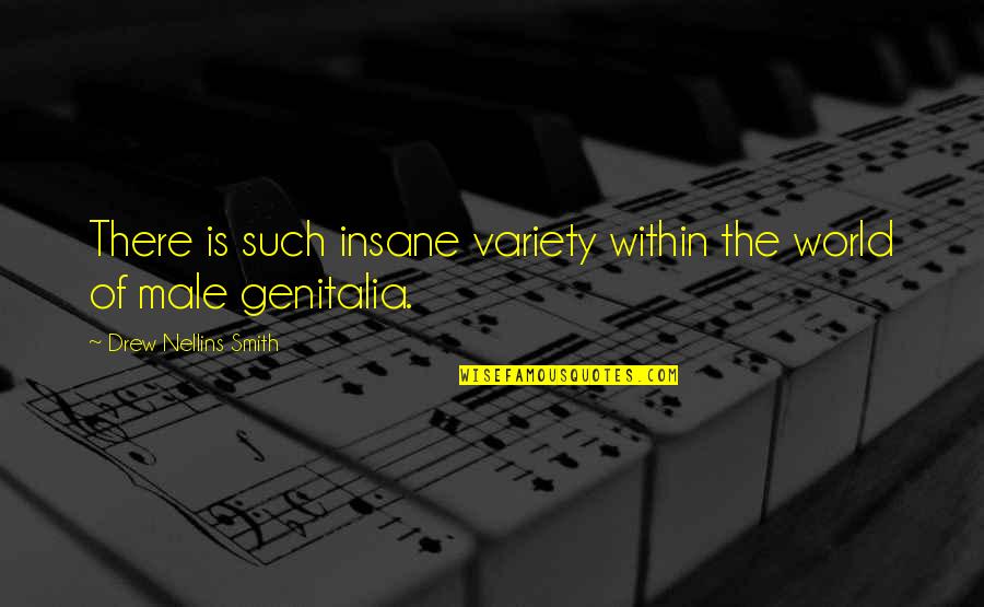 Illetschko Sales Quotes By Drew Nellins Smith: There is such insane variety within the world Illetschko Sales Quotes By Drew Nellins Smith: There is such insane variety within the world