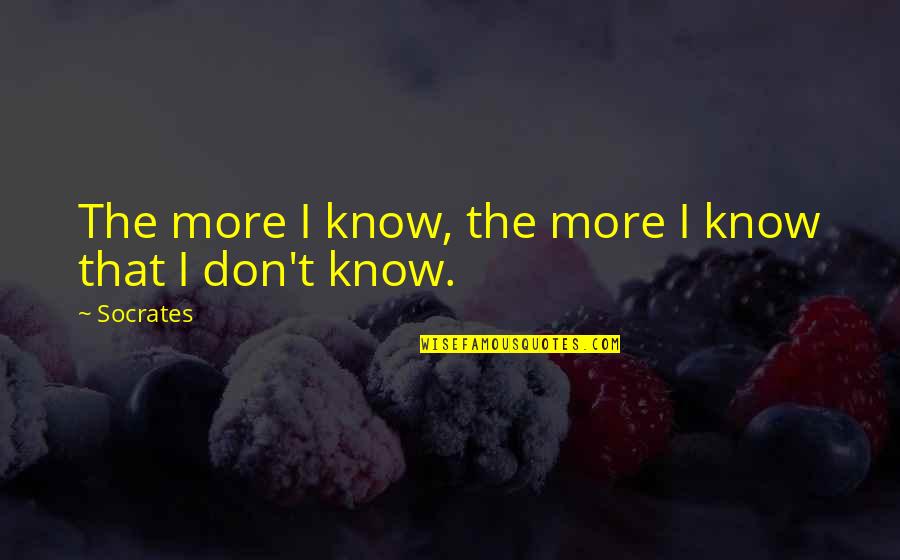 Illimitable Dominion Quotes By Socrates: The more I know, the more I know