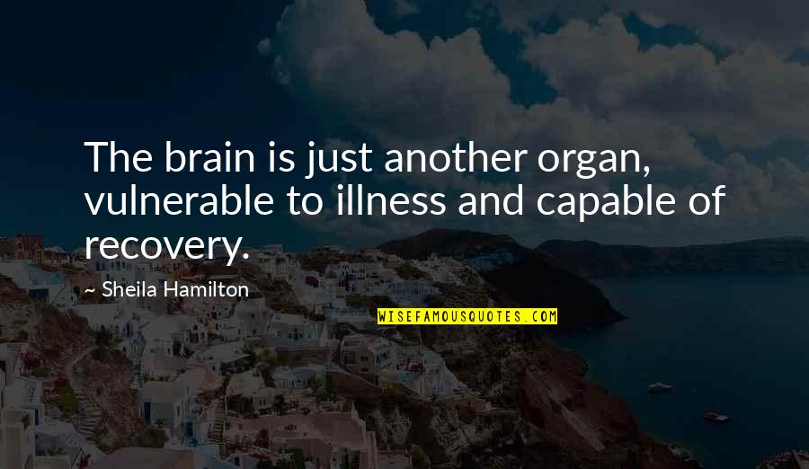 Illness And Recovery Quotes By Sheila Hamilton: The brain is just another organ, vulnerable to