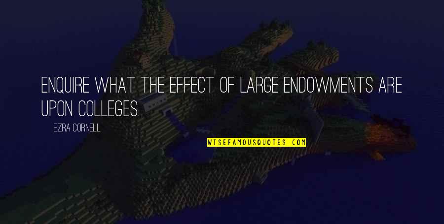Illocutionary Example Quotes By Ezra Cornell: Enquire what the effect of large endowments are