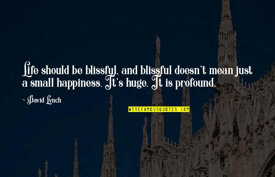 Illum Quotes By David Lynch: Life should be blissful, and blissful doesn't mean