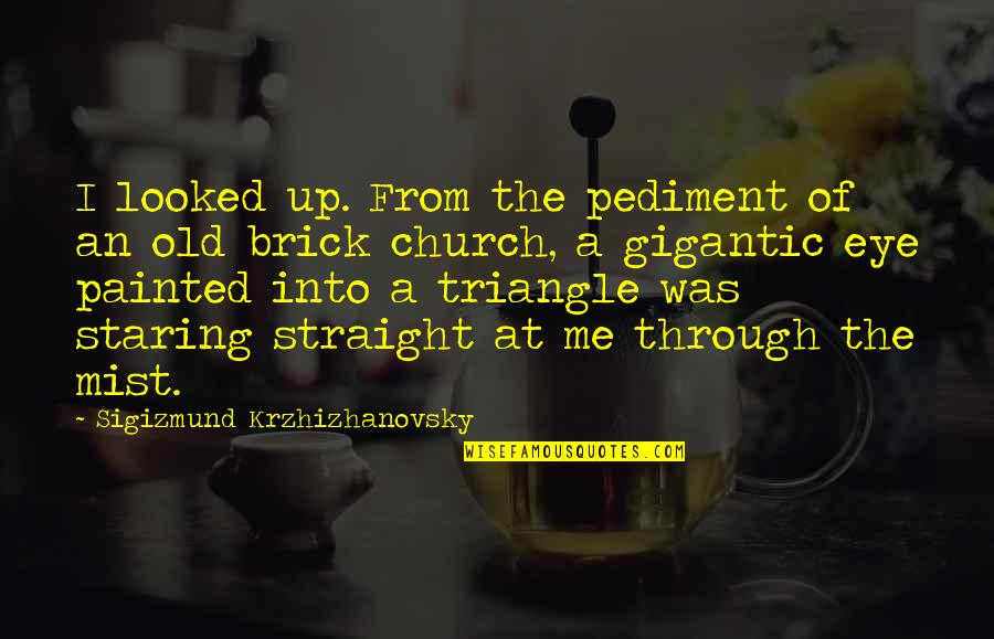 Illuminati Quotes By Sigizmund Krzhizhanovsky: I looked up. From the pediment of an