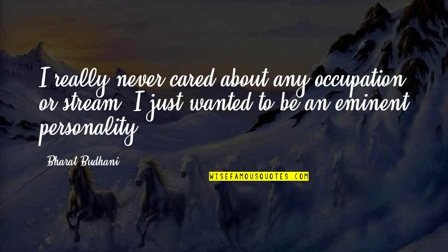 Illuminating Moments Quotes By Bharat Budhani: I really never cared about any occupation or