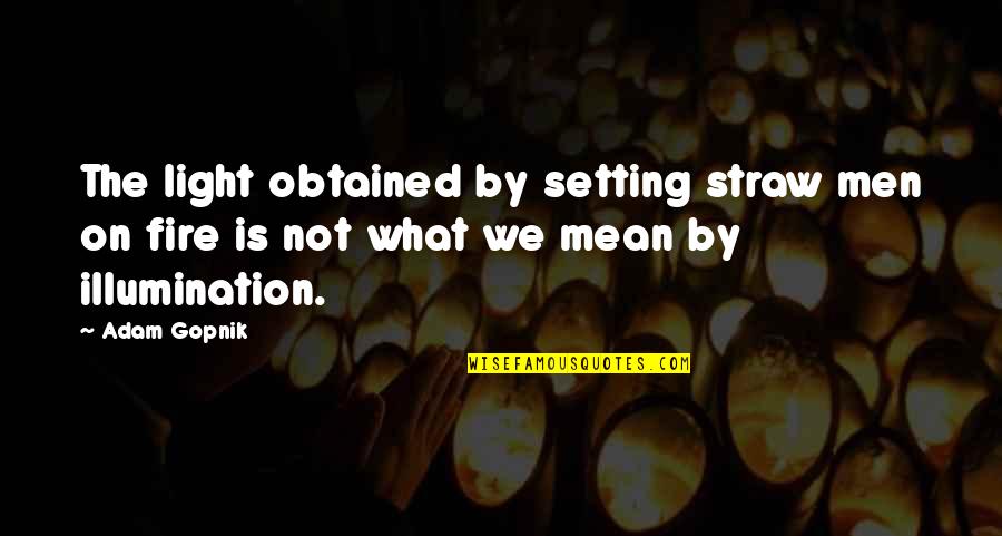 Illumination Quotes By Adam Gopnik: The light obtained by setting straw men on