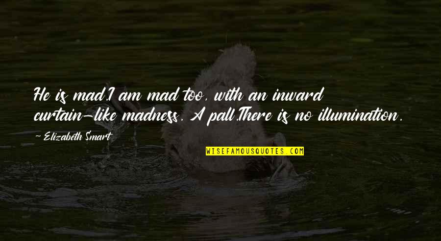 Illumination Quotes By Elizabeth Smart: He is mad.I am mad too, with an