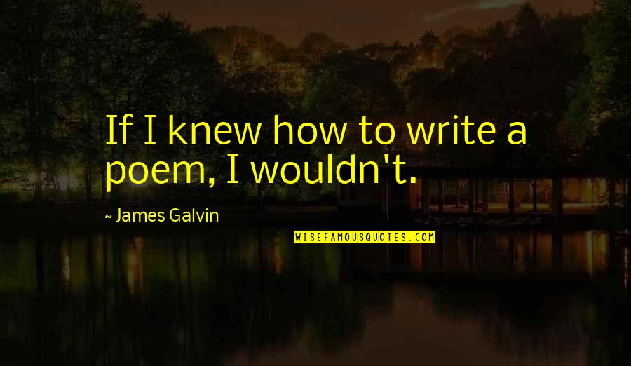 Illuminators Educational Foundation Quotes By James Galvin: If I knew how to write a poem,