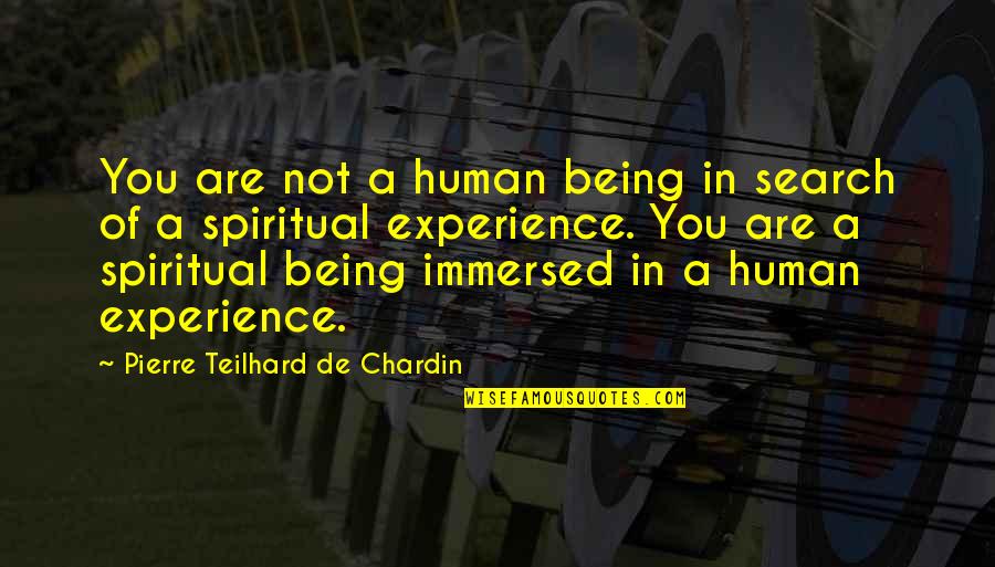 Illusions Of Hope Quotes By Pierre Teilhard De Chardin: You are not a human being in search
