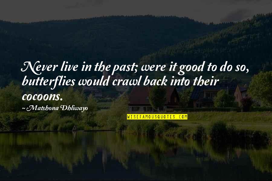 Illusive Networks Quotes By Matshona Dhliwayo: Never live in the past; were it good