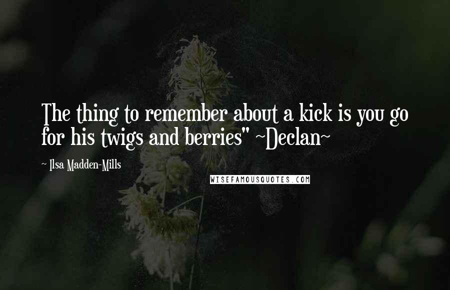 Ilsa Madden-Mills quotes: The thing to remember about a kick is you go for his twigs and berries" ~Declan~