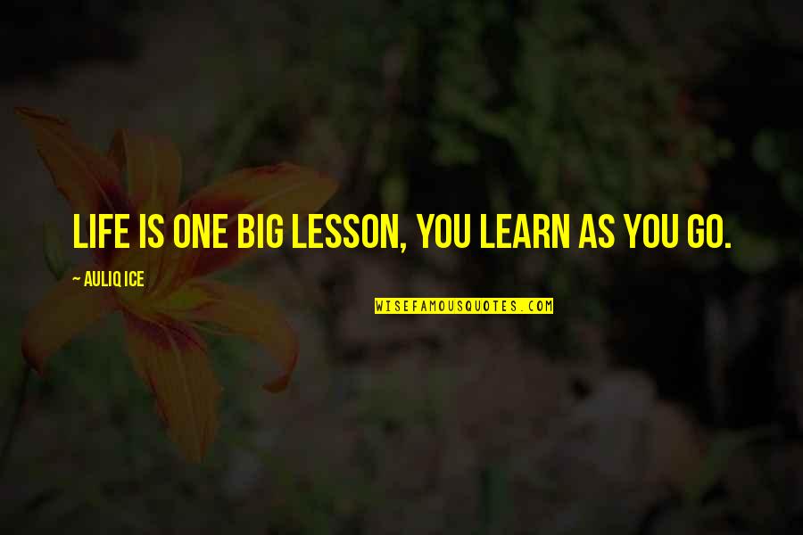 Ilyena Wot Quotes By Auliq Ice: Life is one big lesson, you learn as Ilyena Wot Quotes By Auliq Ice: Life is one big lesson, you learn as