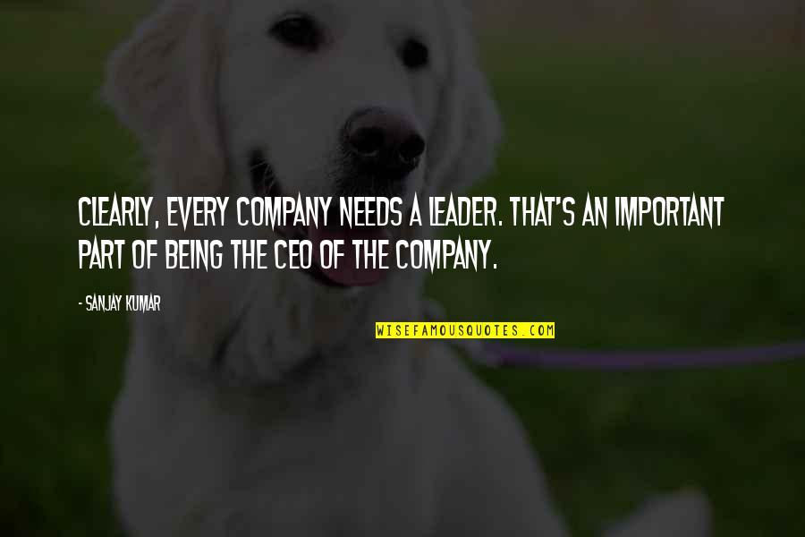Ilyse Shapiro Quotes By Sanjay Kumar: Clearly, every company needs a leader. That's an