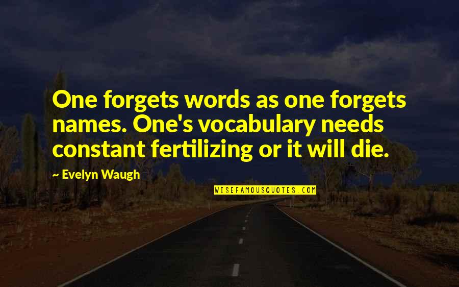 Ilyssa Goodman Quotes By Evelyn Waugh: One forgets words as one forgets names. One's Ilyssa Goodman Quotes By Evelyn Waugh: One forgets words as one forgets names. One's