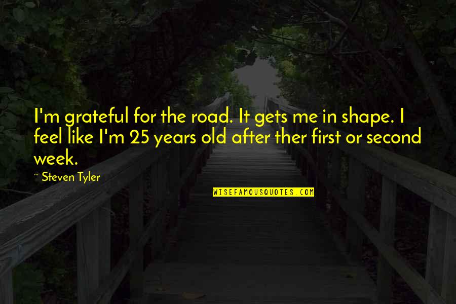 I'm 25 Years Old Quotes By Steven Tyler: I'm grateful for the road. It gets me