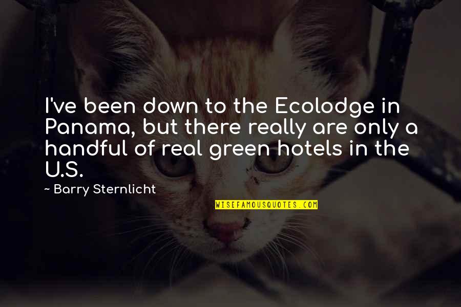 I'm A Handful Quotes By Barry Sternlicht: I've been down to the Ecolodge in Panama,