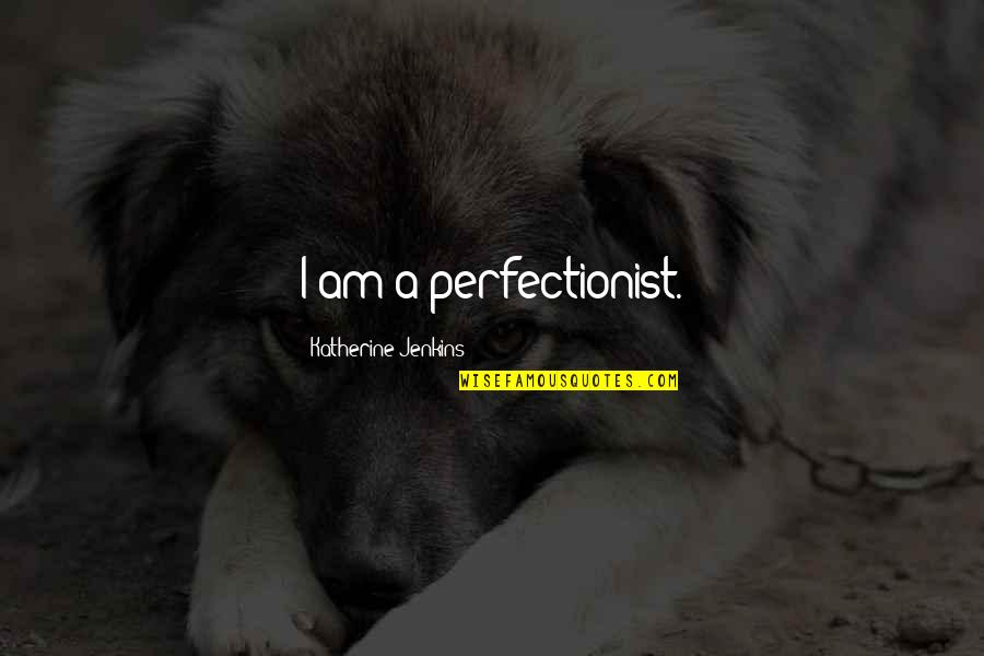 I'm A Perfectionist Quotes By Katherine Jenkins: I am a perfectionist.