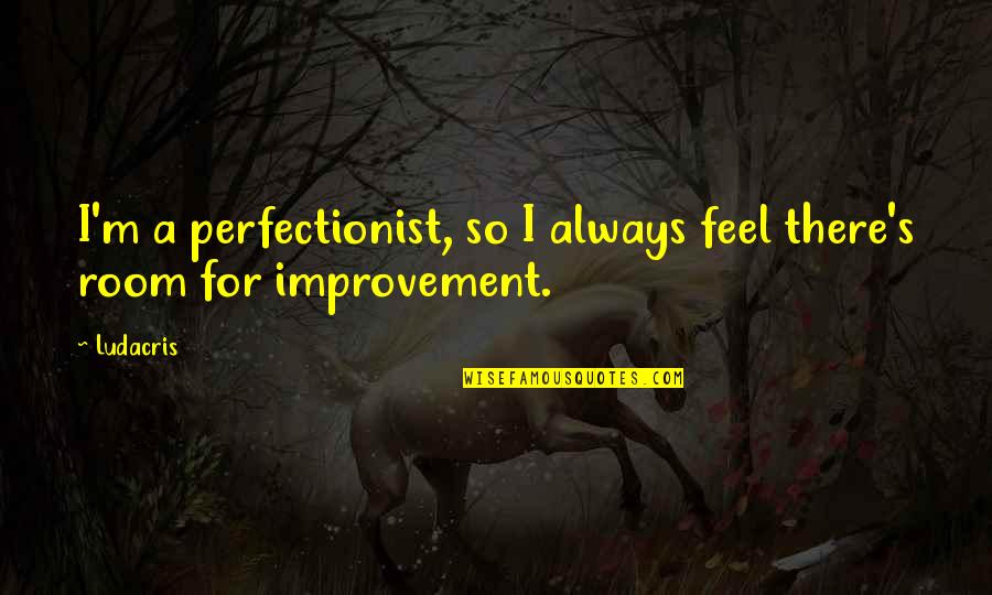 I'm A Perfectionist Quotes By Ludacris: I'm a perfectionist, so I always feel there's