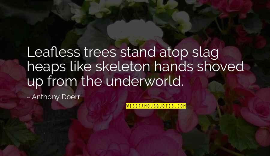 I'm A Slag Quotes By Anthony Doerr: Leafless trees stand atop slag heaps like skeleton I'm A Slag Quotes By Anthony Doerr: Leafless trees stand atop slag heaps like skeleton