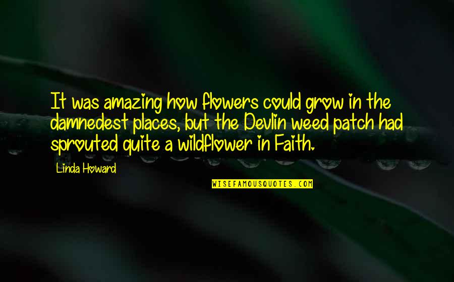 I'm A Wildflower Quotes By Linda Howard: It was amazing how flowers could grow in