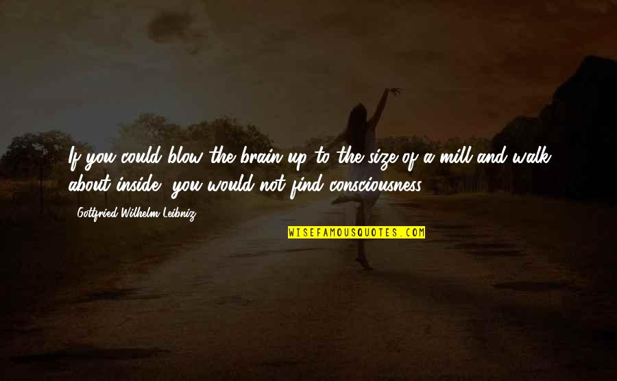 I'm About To Blow Up Quotes By Gottfried Wilhelm Leibniz: If you could blow the brain up to