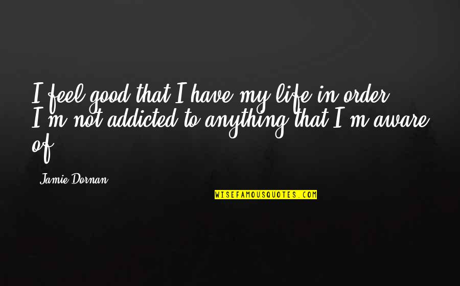 I'm Addicted Quotes By Jamie Dornan: I feel good that I have my life