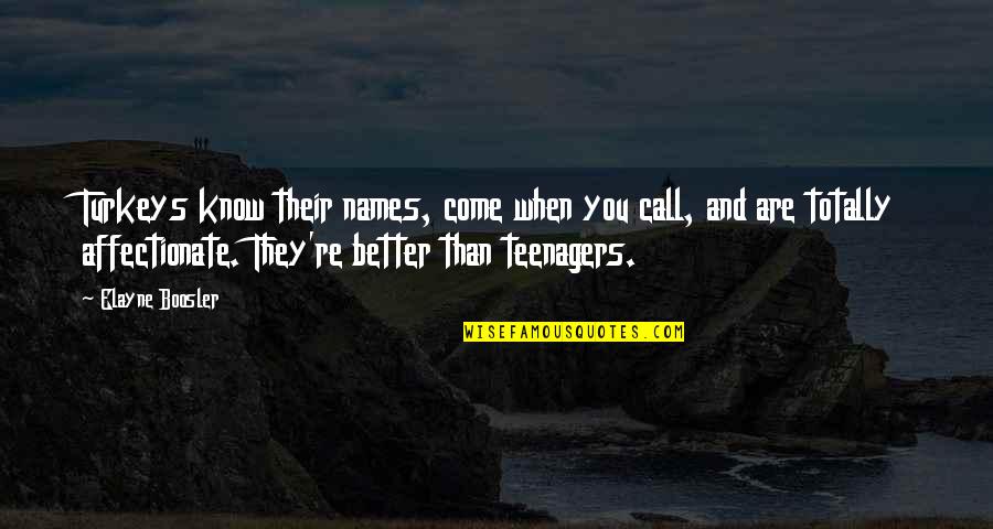 I'm Affectionate Quotes By Elayne Boosler: Turkeys know their names, come when you call,