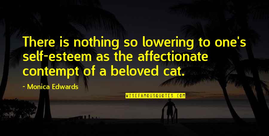 I'm Affectionate Quotes By Monica Edwards: There is nothing so lowering to one's self-esteem