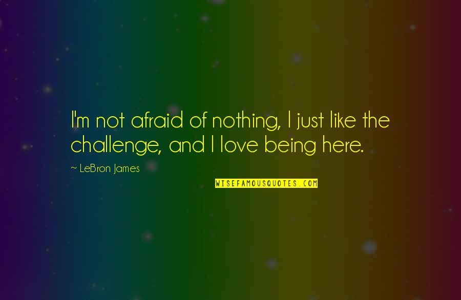 I'm Afraid Love Quotes By LeBron James: I'm not afraid of nothing, I just like