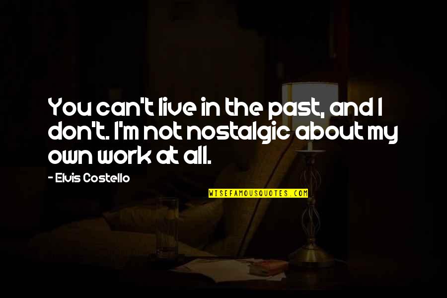 I'm All About You Quotes By Elvis Costello: You can't live in the past, and I