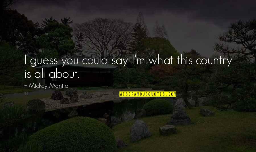 I'm All About You Quotes By Mickey Mantle: I guess you could say I'm what this I'm All About You Quotes By Mickey Mantle: I guess you could say I'm what this